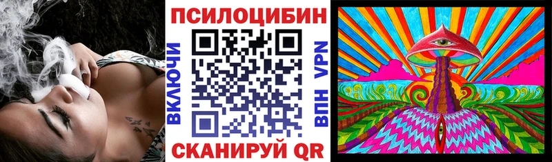 Псилоцибиновые грибы мицелий  Зеленоградск 